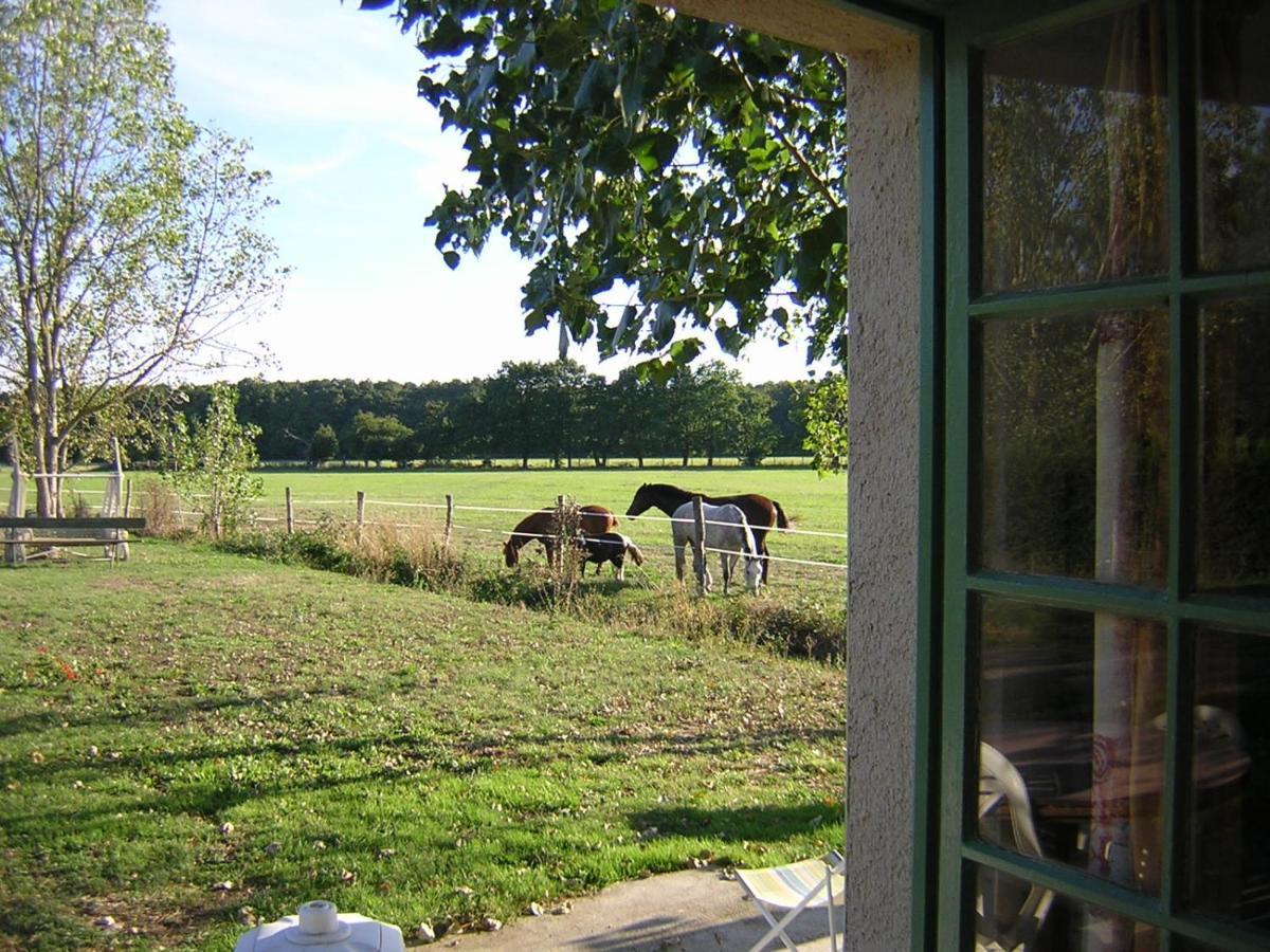 Chambre D'Hote De L'Elevage Du Lattay Les Hauts-d'Anjou Bagian luar foto